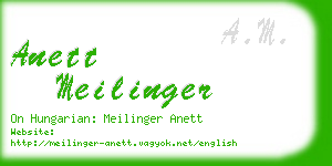 anett meilinger business card